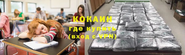 дживик Алзамай